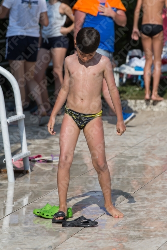 2017 - 8. Sofia Diving Cup 2017 - 8. Sofia Diving Cup 03012_22152.jpg