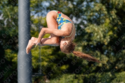 2017 - 8. Sofia Diving Cup 2017 - 8. Sofia Diving Cup 03012_22166.jpg
