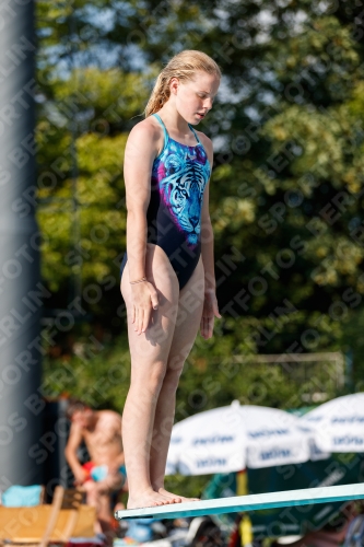 2017 - 8. Sofia Diving Cup 2017 - 8. Sofia Diving Cup 03012_22214.jpg