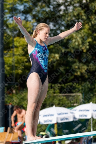 2017 - 8. Sofia Diving Cup 2017 - 8. Sofia Diving Cup 03012_22215.jpg