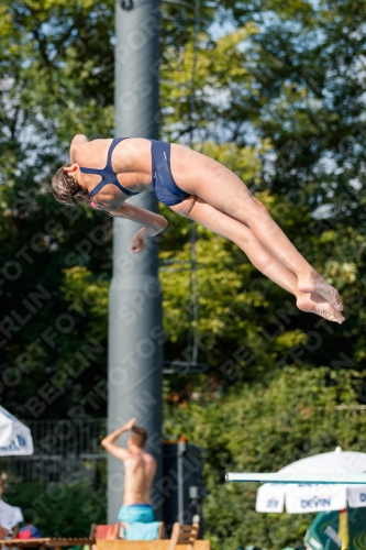 2017 - 8. Sofia Diving Cup 2017 - 8. Sofia Diving Cup 03012_22226.jpg