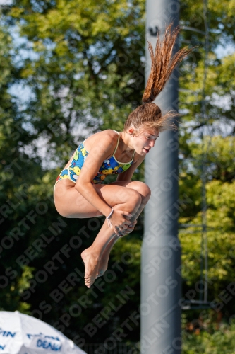 2017 - 8. Sofia Diving Cup 2017 - 8. Sofia Diving Cup 03012_22242.jpg