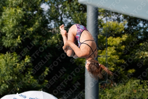 2017 - 8. Sofia Diving Cup 2017 - 8. Sofia Diving Cup 03012_22248.jpg