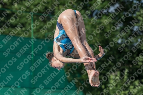 2017 - 8. Sofia Diving Cup 2017 - 8. Sofia Diving Cup 03012_22366.jpg