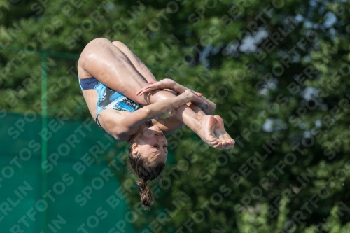2017 - 8. Sofia Diving Cup 2017 - 8. Sofia Diving Cup 03012_22367.jpg