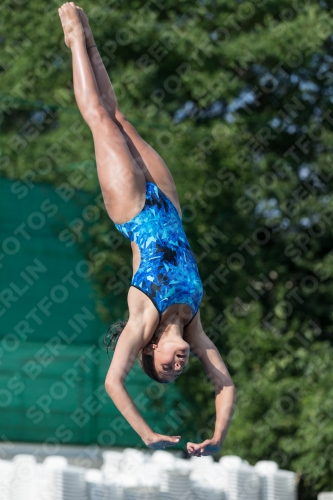 2017 - 8. Sofia Diving Cup 2017 - 8. Sofia Diving Cup 03012_22377.jpg