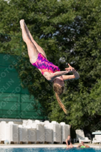 2017 - 8. Sofia Diving Cup 2017 - 8. Sofia Diving Cup 03012_22412.jpg