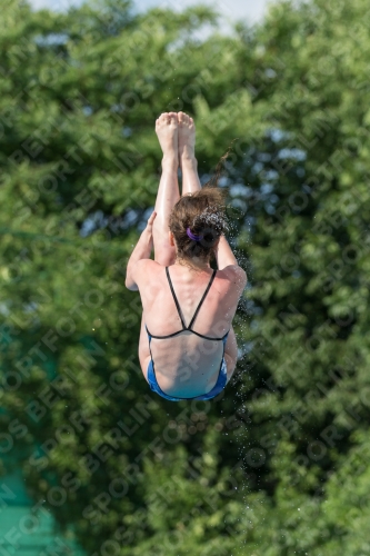 2017 - 8. Sofia Diving Cup 2017 - 8. Sofia Diving Cup 03012_22432.jpg
