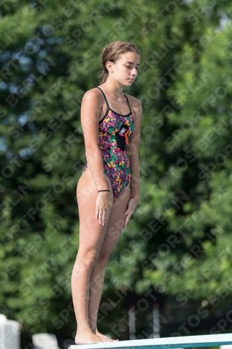 2017 - 8. Sofia Diving Cup 2017 - 8. Sofia Diving Cup 03012_22433.jpg