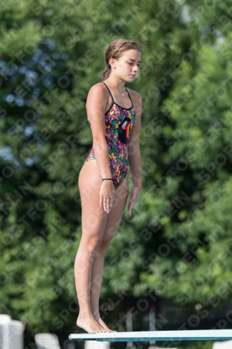 2017 - 8. Sofia Diving Cup 2017 - 8. Sofia Diving Cup 03012_22435.jpg