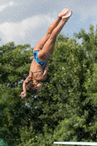 2017 - 8. Sofia Diving Cup 2017 - 8. Sofia Diving Cup 03012_22470.jpg