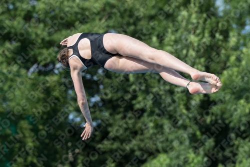 2017 - 8. Sofia Diving Cup 2017 - 8. Sofia Diving Cup 03012_22477.jpg
