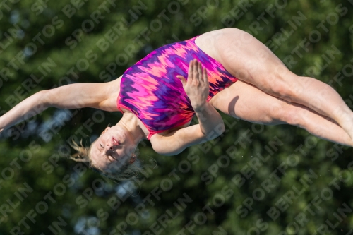 2017 - 8. Sofia Diving Cup 2017 - 8. Sofia Diving Cup 03012_22492.jpg