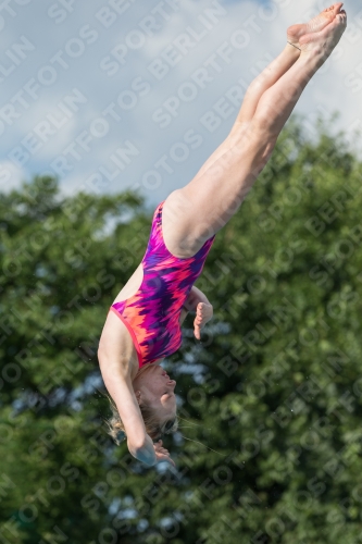 2017 - 8. Sofia Diving Cup 2017 - 8. Sofia Diving Cup 03012_22494.jpg