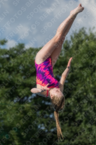2017 - 8. Sofia Diving Cup 2017 - 8. Sofia Diving Cup 03012_22495.jpg