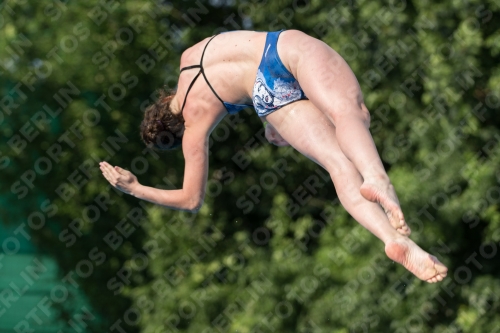 2017 - 8. Sofia Diving Cup 2017 - 8. Sofia Diving Cup 03012_22505.jpg