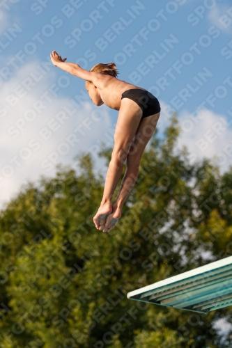 2017 - 8. Sofia Diving Cup 2017 - 8. Sofia Diving Cup 03012_22614.jpg