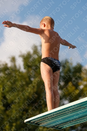 2017 - 8. Sofia Diving Cup 2017 - 8. Sofia Diving Cup 03012_22636.jpg