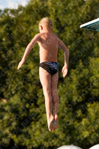 2017 - 8. Sofia Diving Cup 2017 - 8. Sofia Diving Cup 03012_22640.jpg