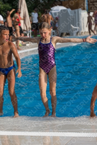 2017 - 8. Sofia Diving Cup 2017 - 8. Sofia Diving Cup 03012_22705.jpg