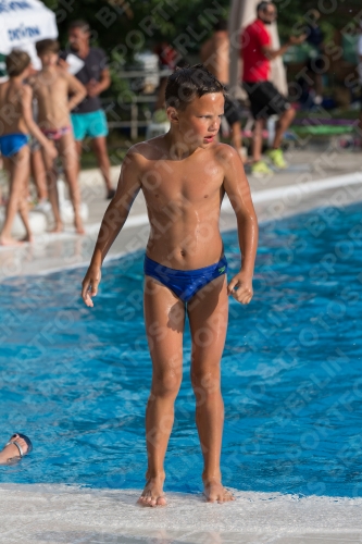 2017 - 8. Sofia Diving Cup 2017 - 8. Sofia Diving Cup 03012_22715.jpg