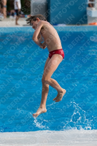 2017 - 8. Sofia Diving Cup 2017 - 8. Sofia Diving Cup 03012_22731.jpg