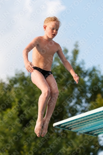 2017 - 8. Sofia Diving Cup 2017 - 8. Sofia Diving Cup 03012_22780.jpg