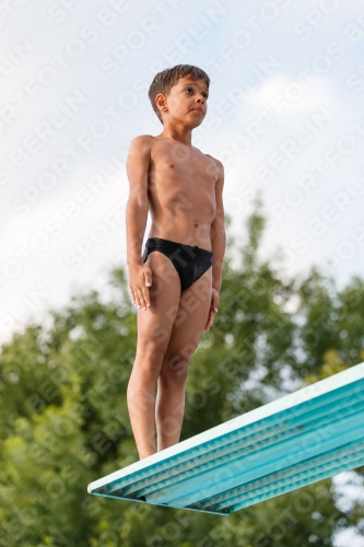 2017 - 8. Sofia Diving Cup 2017 - 8. Sofia Diving Cup 03012_22804.jpg