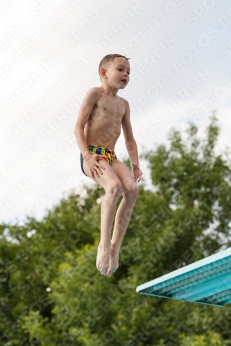 2017 - 8. Sofia Diving Cup 2017 - 8. Sofia Diving Cup 03012_22826.jpg
