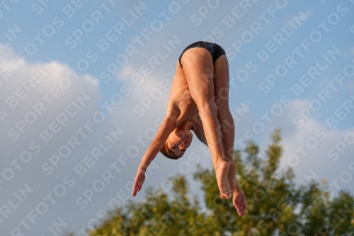 2017 - 8. Sofia Diving Cup 2017 - 8. Sofia Diving Cup 03012_22937.jpg