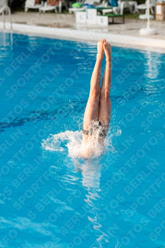 2017 - 8. Sofia Diving Cup 2017 - 8. Sofia Diving Cup 03012_22946.jpg