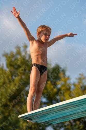 2017 - 8. Sofia Diving Cup 2017 - 8. Sofia Diving Cup 03012_22955.jpg