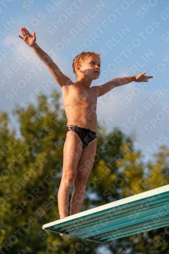 2017 - 8. Sofia Diving Cup 2017 - 8. Sofia Diving Cup 03012_22958.jpg