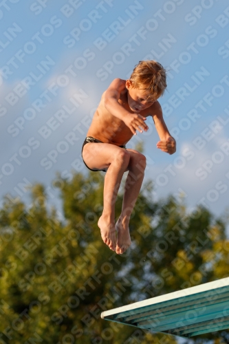 2017 - 8. Sofia Diving Cup 2017 - 8. Sofia Diving Cup 03012_22961.jpg