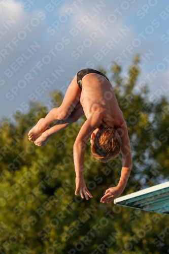 2017 - 8. Sofia Diving Cup 2017 - 8. Sofia Diving Cup 03012_22965.jpg