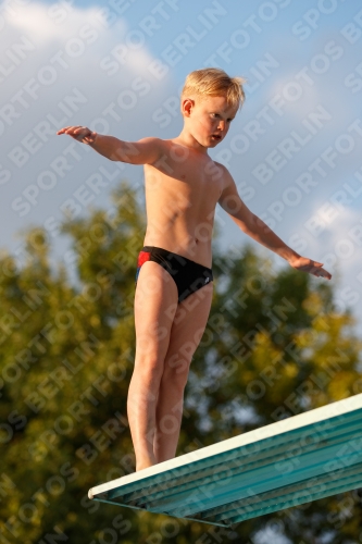 2017 - 8. Sofia Diving Cup 2017 - 8. Sofia Diving Cup 03012_22980.jpg