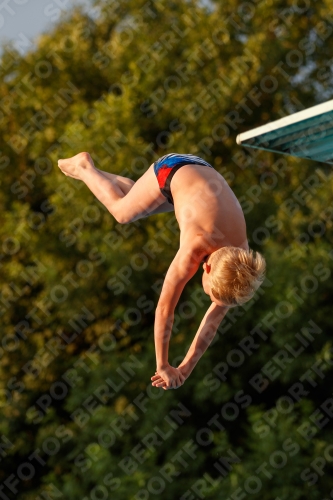 2017 - 8. Sofia Diving Cup 2017 - 8. Sofia Diving Cup 03012_22991.jpg