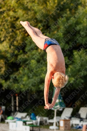 2017 - 8. Sofia Diving Cup 2017 - 8. Sofia Diving Cup 03012_22992.jpg
