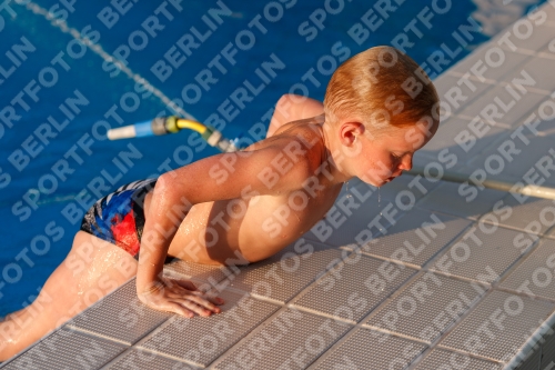 2017 - 8. Sofia Diving Cup 2017 - 8. Sofia Diving Cup 03012_22998.jpg