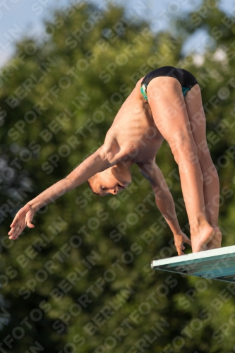 2017 - 8. Sofia Diving Cup 2017 - 8. Sofia Diving Cup 03012_23167.jpg