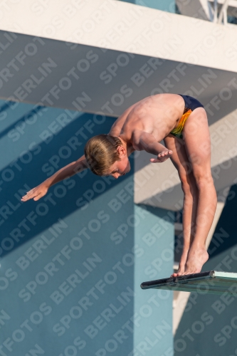 2017 - 8. Sofia Diving Cup 2017 - 8. Sofia Diving Cup 03012_23175.jpg
