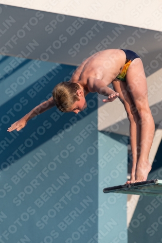 2017 - 8. Sofia Diving Cup 2017 - 8. Sofia Diving Cup 03012_23176.jpg