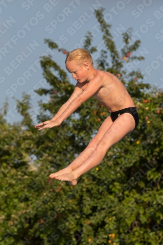 2017 - 8. Sofia Diving Cup 2017 - 8. Sofia Diving Cup 03012_23216.jpg