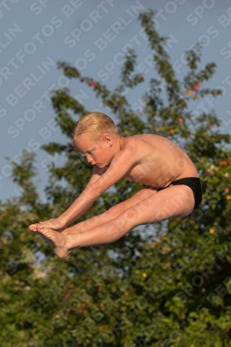 2017 - 8. Sofia Diving Cup 2017 - 8. Sofia Diving Cup 03012_23217.jpg