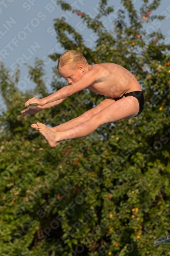 2017 - 8. Sofia Diving Cup 2017 - 8. Sofia Diving Cup 03012_23218.jpg
