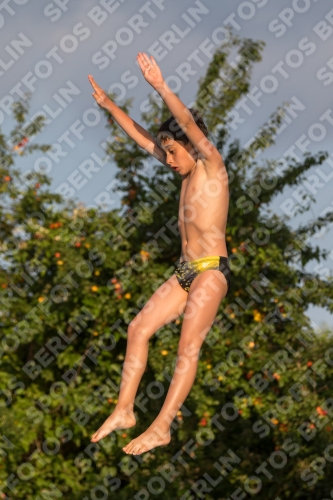 2017 - 8. Sofia Diving Cup 2017 - 8. Sofia Diving Cup 03012_23243.jpg