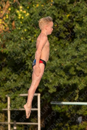 2017 - 8. Sofia Diving Cup 2017 - 8. Sofia Diving Cup 03012_23336.jpg