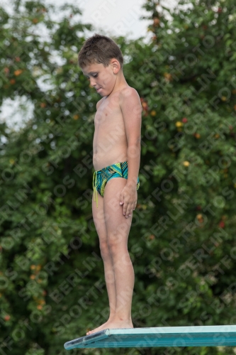 2017 - 8. Sofia Diving Cup 2017 - 8. Sofia Diving Cup 03012_23395.jpg