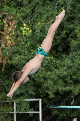 2017 - 8. Sofia Diving Cup 2017 - 8. Sofia Diving Cup 03012_23398.jpg