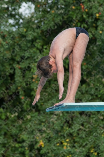2017 - 8. Sofia Diving Cup 2017 - 8. Sofia Diving Cup 03012_23407.jpg